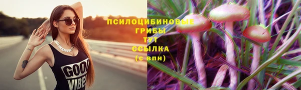 таблы Киреевск