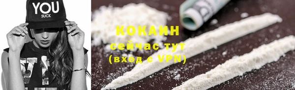 ешки Козловка