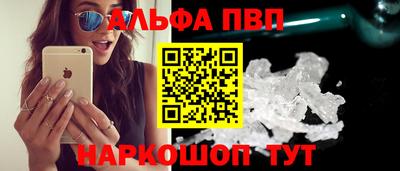 стаф Кунгур