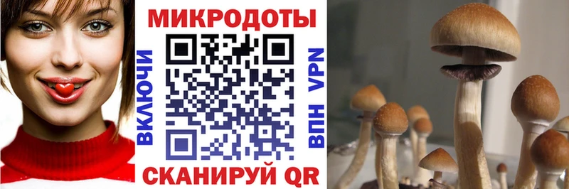 как найти закладки  Кудымкар  Галлюциногенные грибы Cubensis 