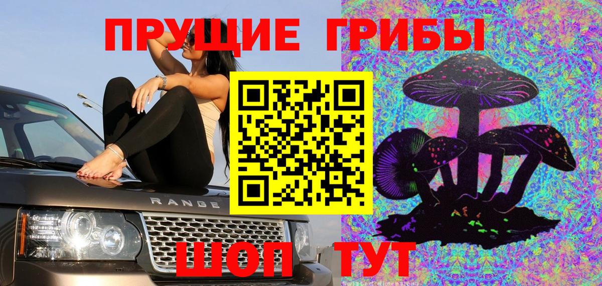 Псилоцибиновые грибы мухоморы  Галлюциногенные грибы мухоморы  где можно купить наркотик  Вход с VPN  Кудымкар 
