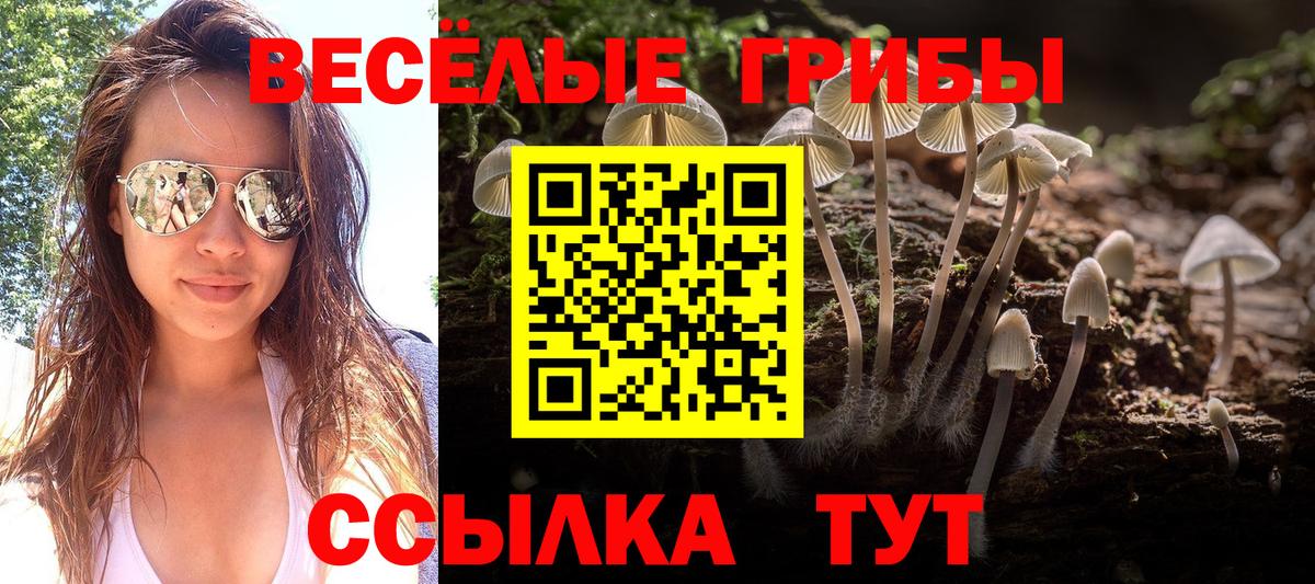 Галлюциногенные грибы Psilocybine cubensis Кудымкар